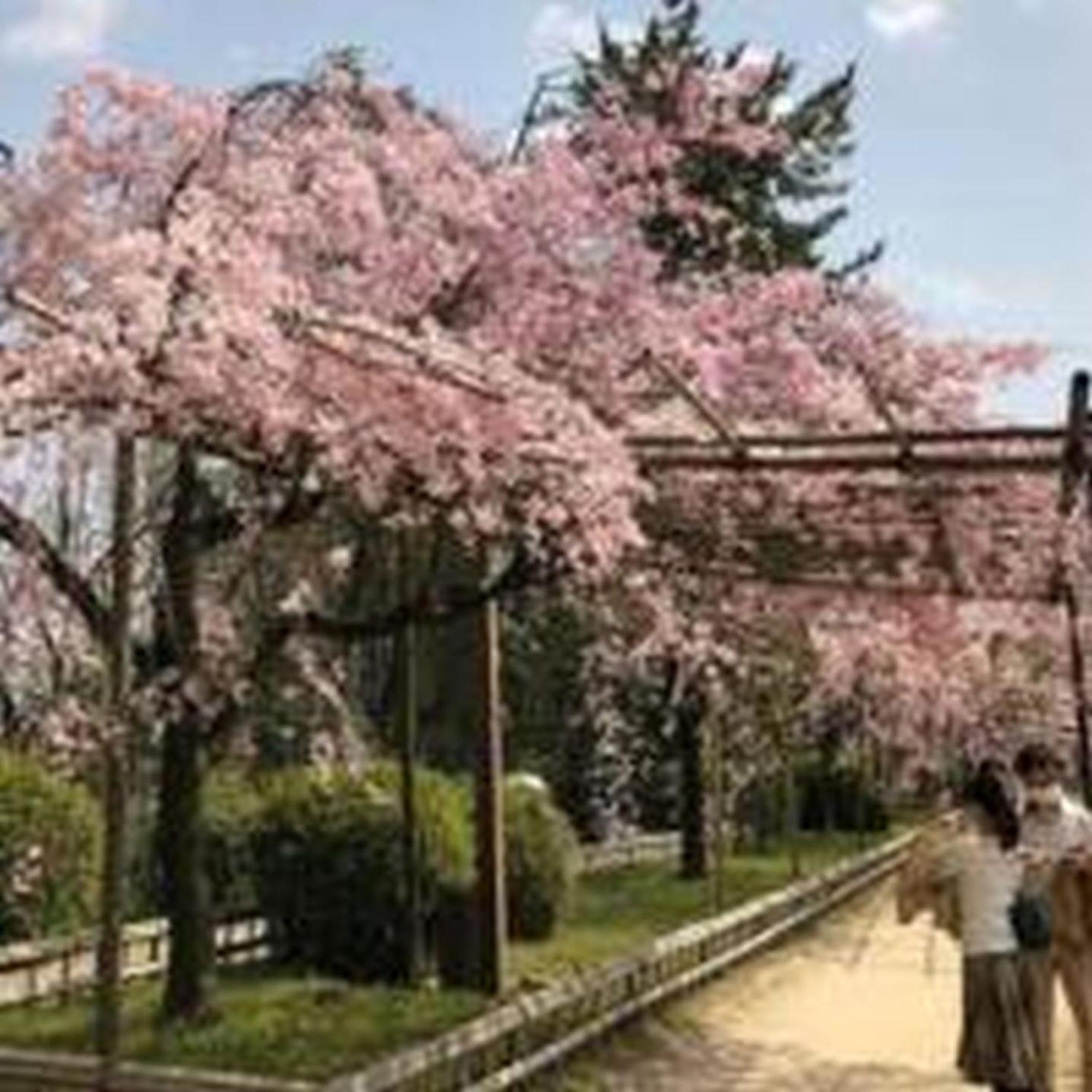 むつみ庵此花601 Apartman Oszaka Kültér fotó