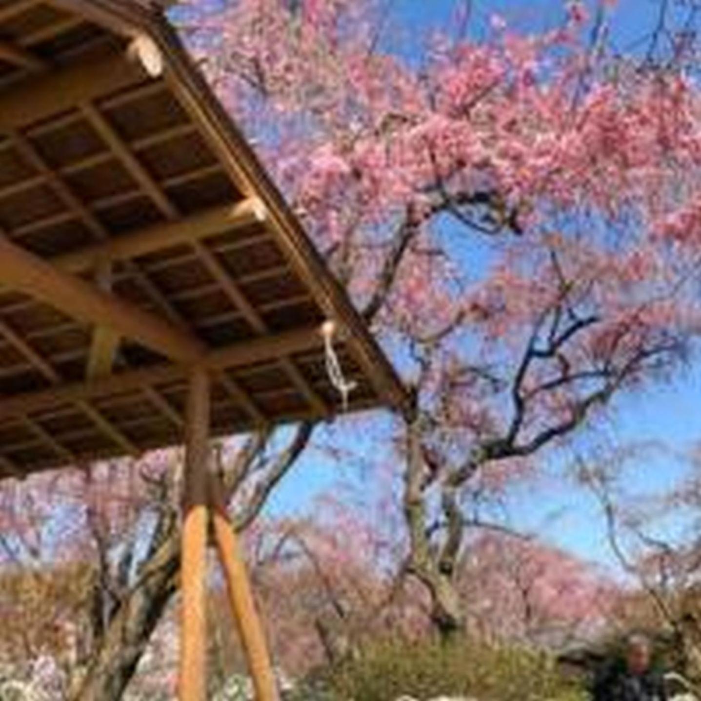 むつみ庵此花601 Apartman Oszaka Kültér fotó